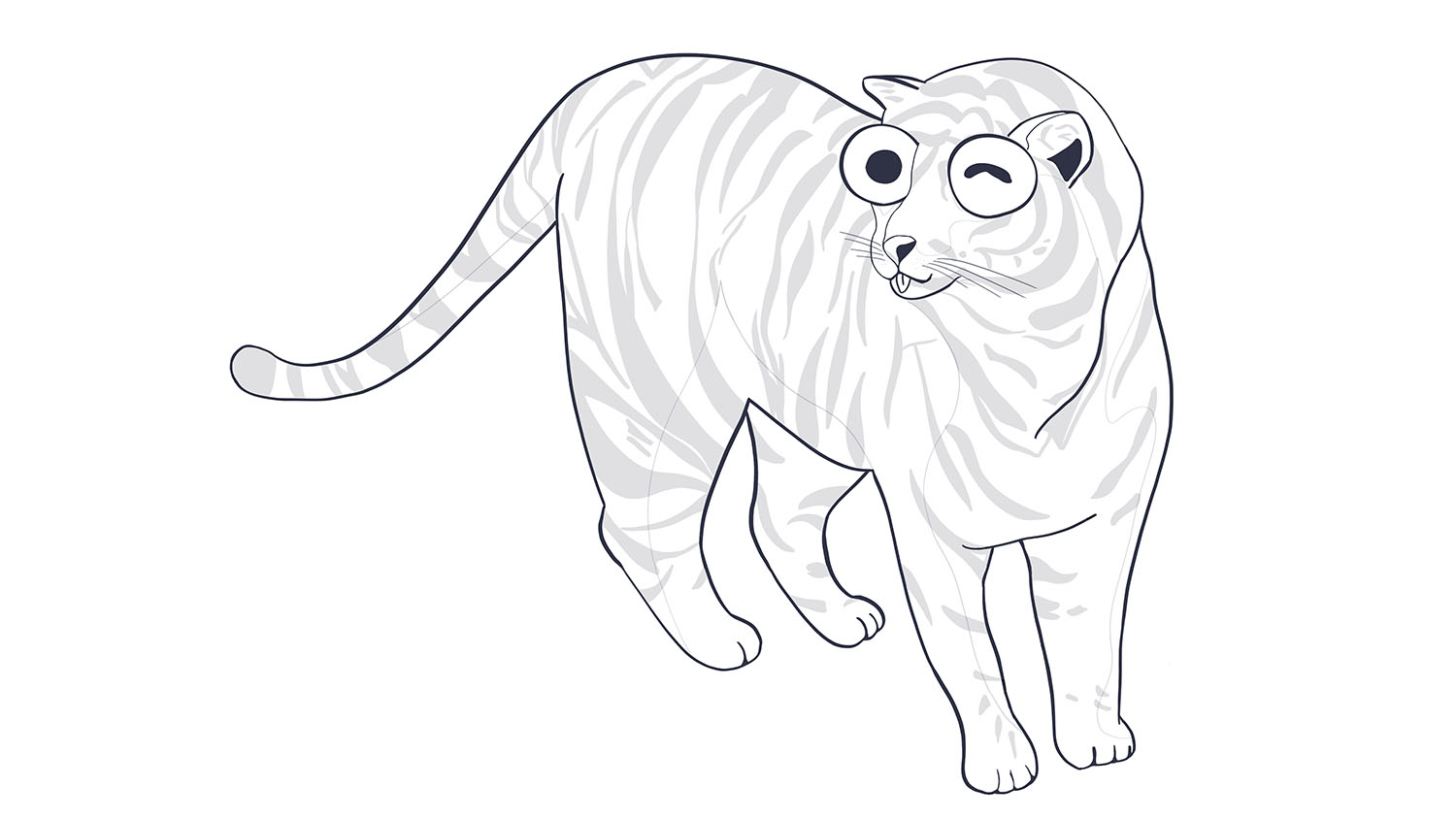 101. Tigre siberiano / Siberian tiger