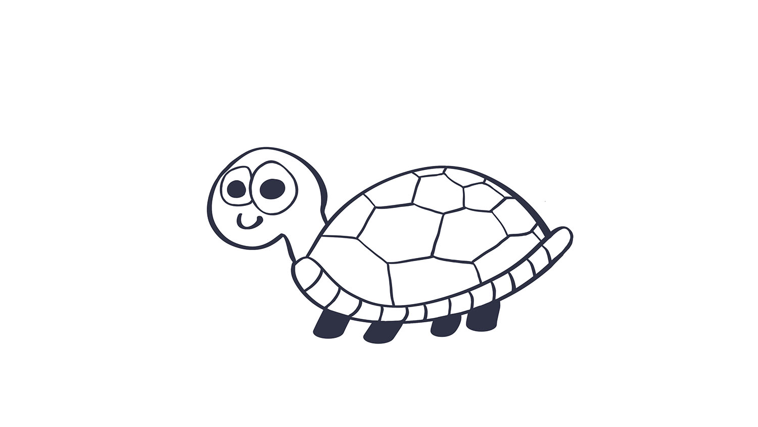 29. Tortuga / Turtle
