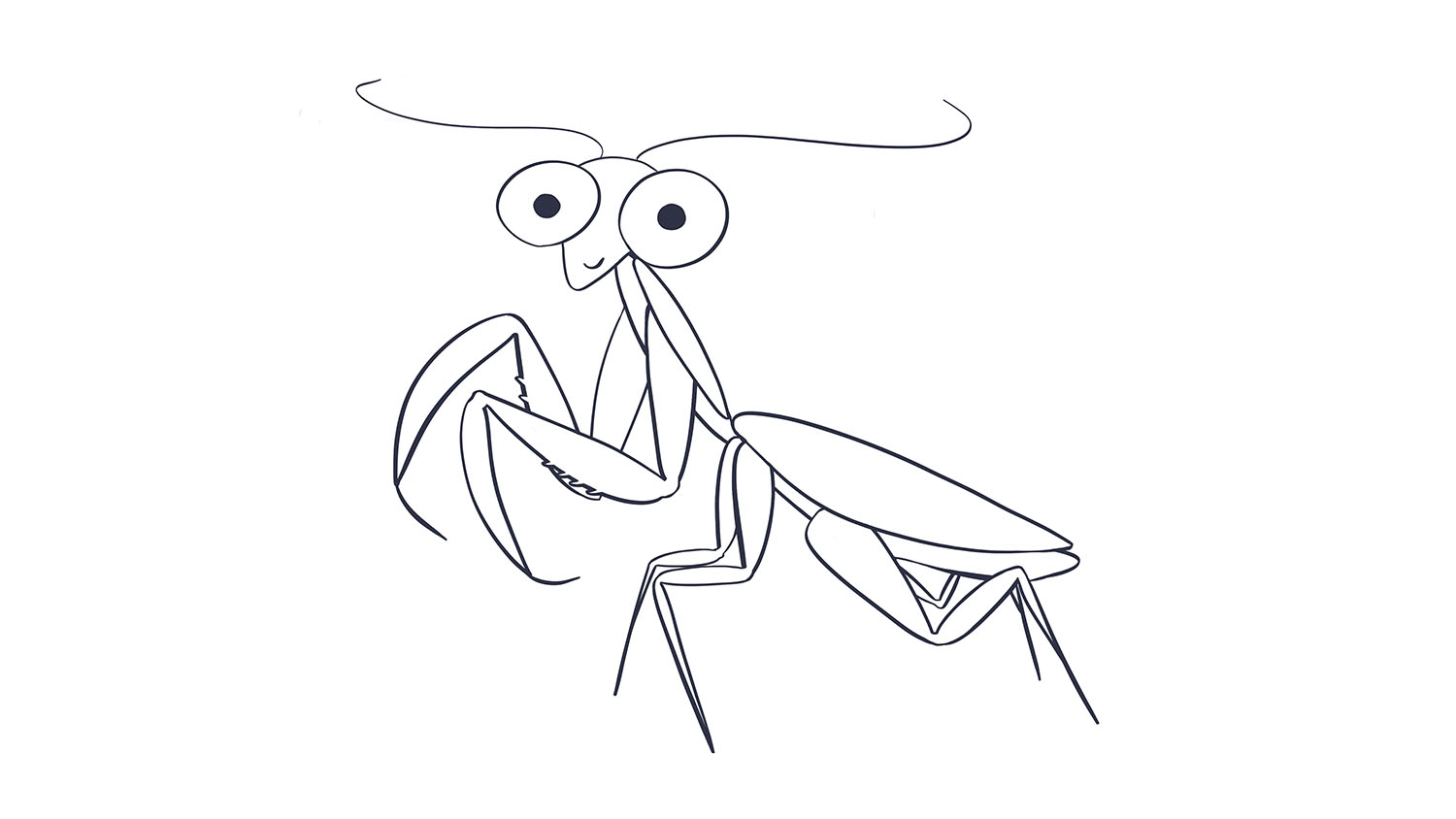 50. Mantis religiosa / Praying mantis