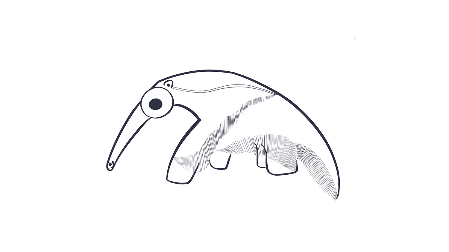 63. Oso hormiguero / Anteater