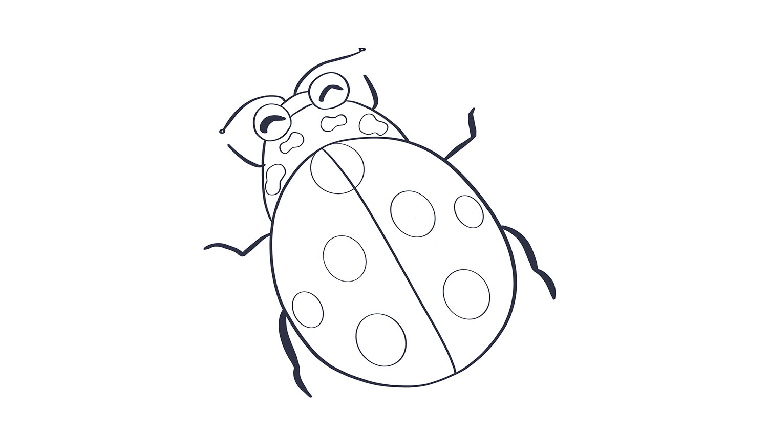 65. Vaquita de San Antonio / Ladybird