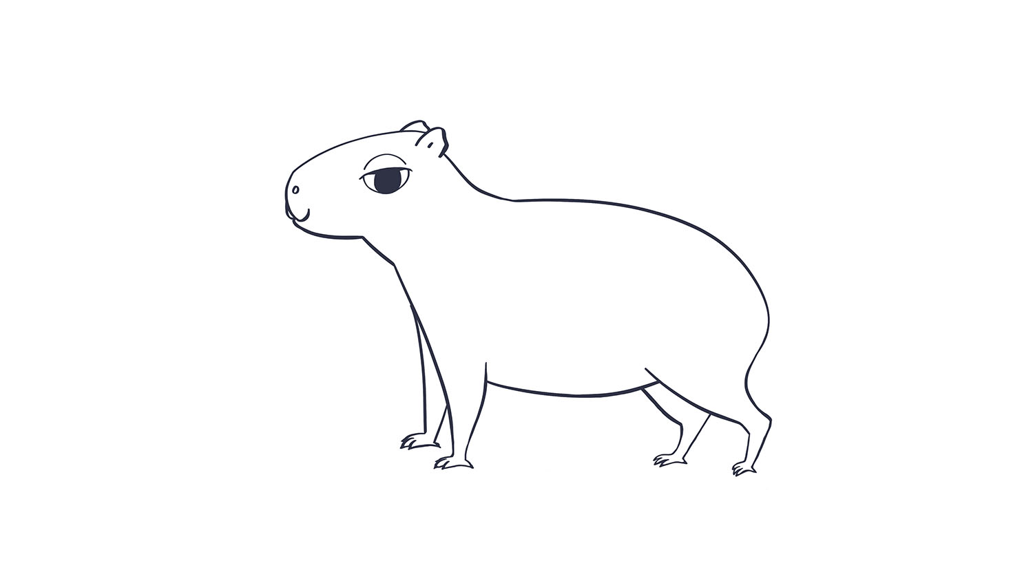66. Carpincho / Capybara