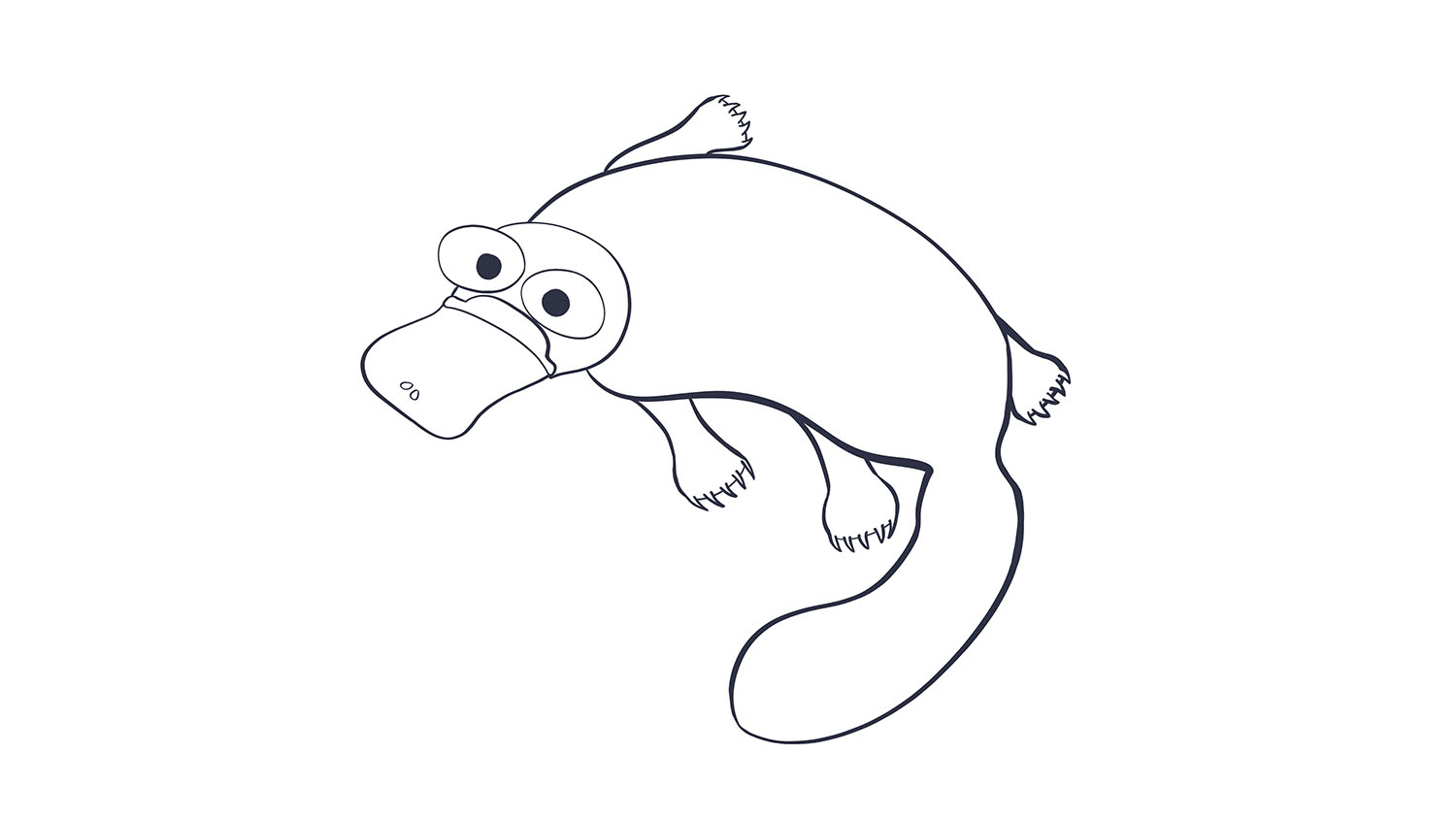 70. Ornitorrinco / Platypus