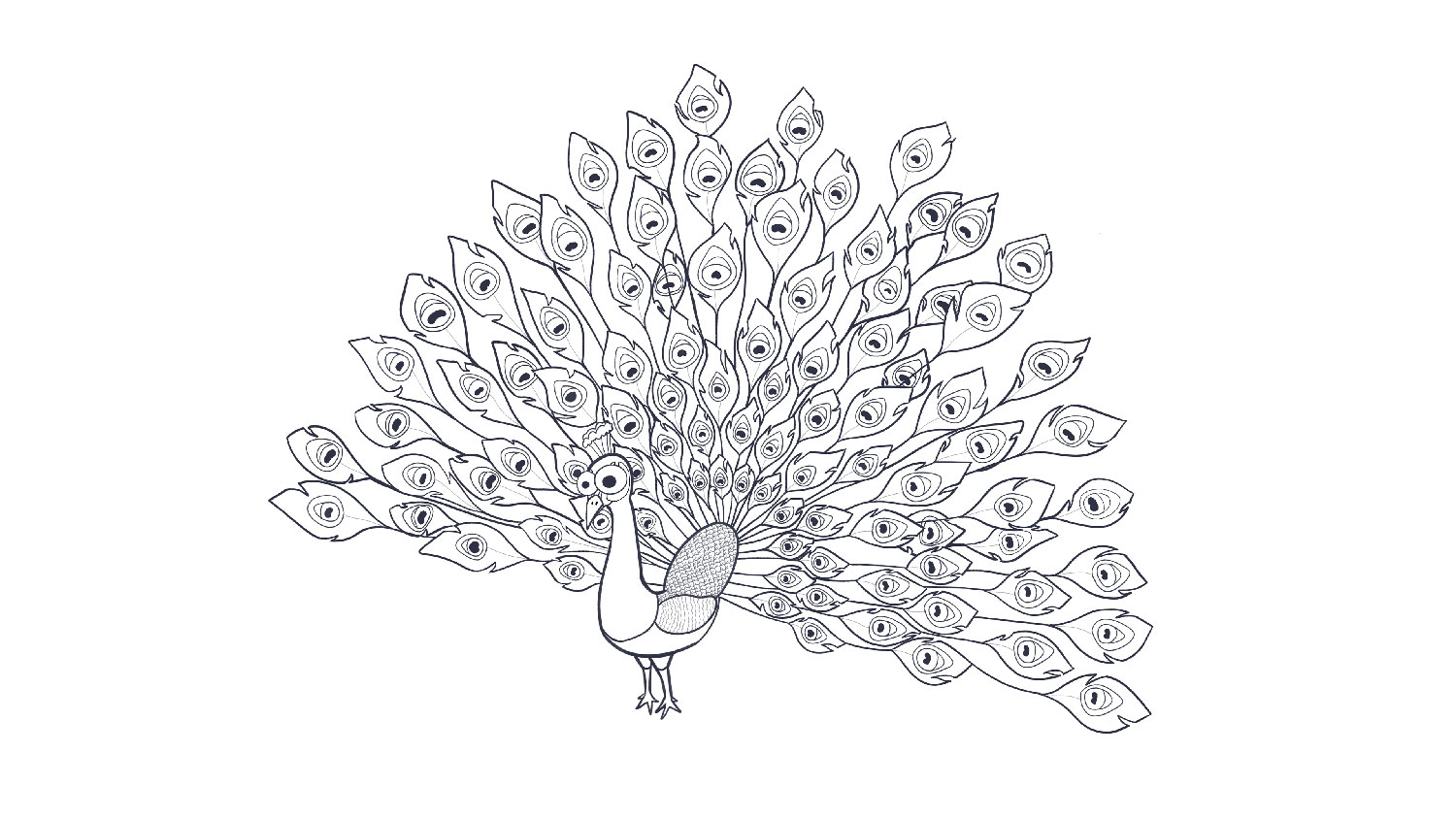 71. Pavo real / Peafowl