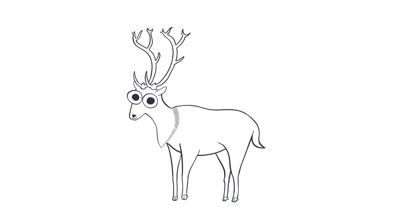74. Reno / Reindeer