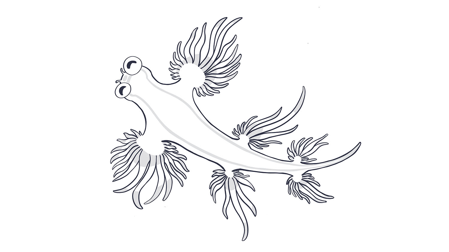 91. Dragón marino azul / Blue sea dragon